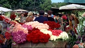 To Catch a Thief (1955)Boulevard Jean Jaurès, Nice, France and flowers